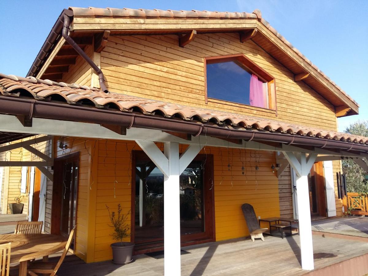 Ecolodge Bellevue 阿尔比 外观 照片