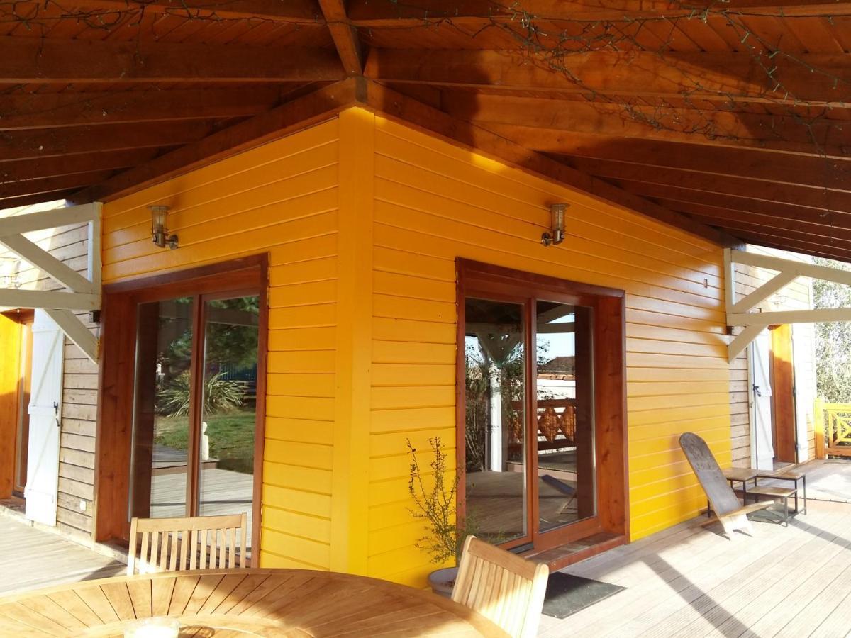 Ecolodge Bellevue 阿尔比 外观 照片