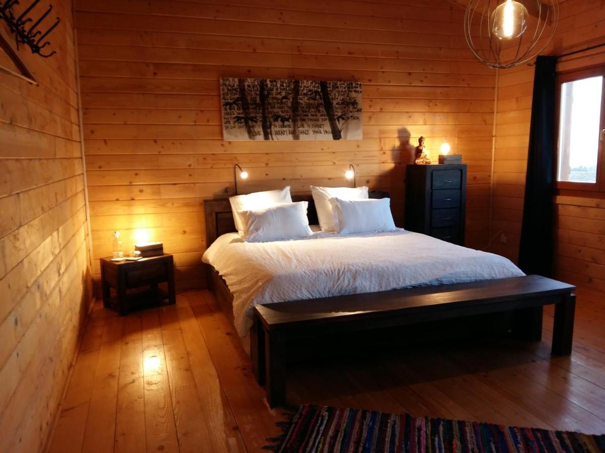 Ecolodge Bellevue 阿尔比 外观 照片