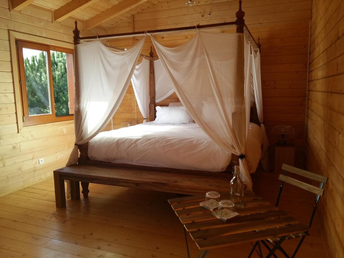 Ecolodge Bellevue 阿尔比 外观 照片