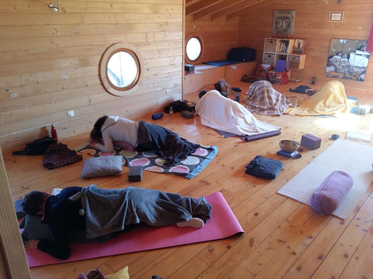 Ecolodge Bellevue 阿尔比 外观 照片