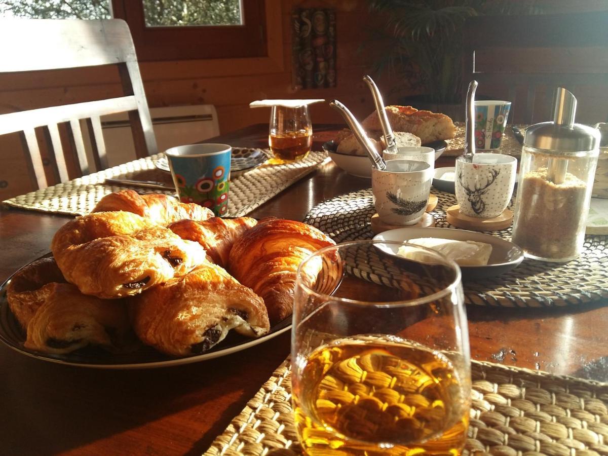 Ecolodge Bellevue 阿尔比 外观 照片